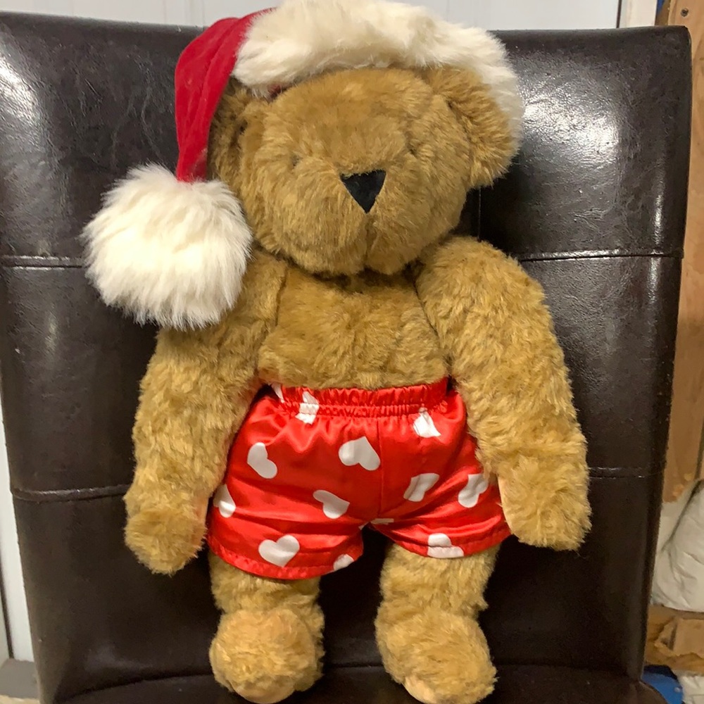 Vermont Christmas Teddy Bear new without tags.